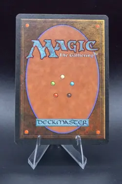 Land Equilibrium: 1994 Magic the Gathering - Legends Regular - Image 2