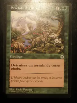 mtg magic Winter's Grasp portal 1 FRENCH vf fr etreinte Etreinte de l'hiver - Image 1