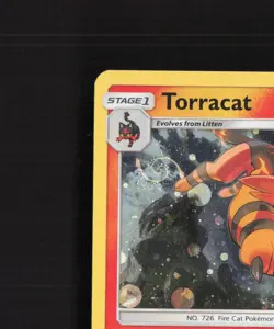 Torracat 25/149 Sun & Moon Cosmos Holo Rare SWIRL Pokemon Card LP - Image 3