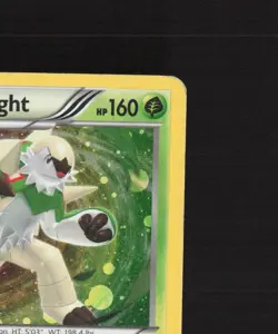 Chesnaught 14/146 XY Cosmos Holo Rare PARTIAL SWIRL Pokemon Card MP - Image 4