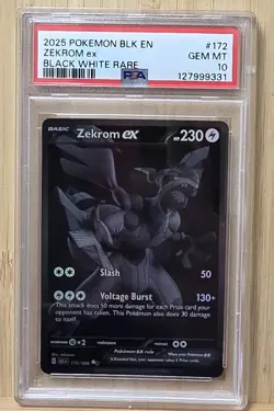 Zekrom EX 172/086 PSA 10 Gem Mint 2025 Pokemon Black Bolt Black White Rare - Image 1