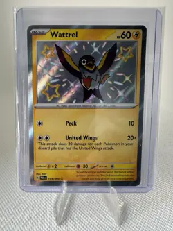 Wattrel 145/091 Shiny Vault Holo Rare Pokemon 2024 Paldean Fates - Image 1