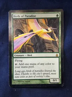 Birds Of Paradise Ravnica Magic the Gathering MP - Image 1
