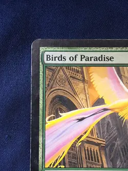 Birds Of Paradise Ravnica Magic the Gathering MP - Image 2