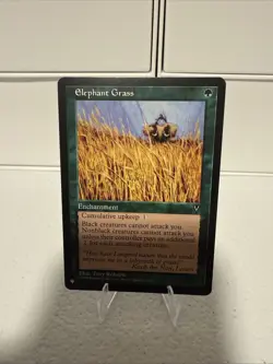 Elephant Grass The List Reprints Regular - Image 1