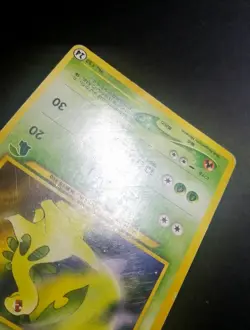 Bayleef No. 153 Chikorita Half Deck #24 Pokemon Japanese 2001 - Image 4