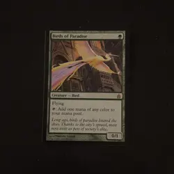Magic The Gathering Ravnica: City of Guilds Birds of Paradise #153 LP - Image 1