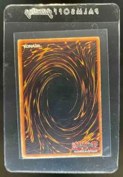 2003 Yu-Gi-Oh! Starter Deck Joey 1st Edition Red-Eyes B. Dragon #SDJ-001 - Image 2