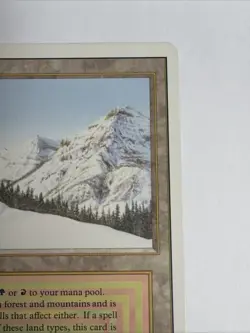 MTG Taiga Revised Edition Dual Land, NM/LP Condition - Image 5