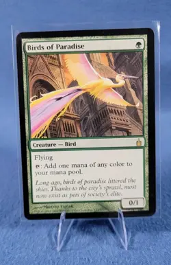 Birds of Paradise Ravnica: City of Guilds - LP - MTG - Image 4