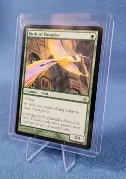 Birds of Paradise Ravnica: City of Guilds - LP - MTG - Image 5
