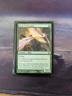 Birds of Paradise Ravnica: City of Guilds - LP - MTG - Image 1