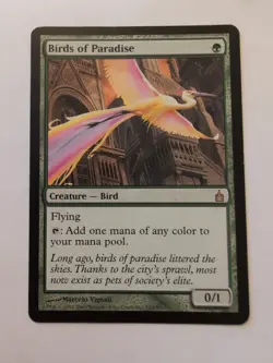 Birds of Paradise Ravnica: City of Guilds - Image 1