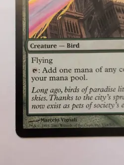 Birds of Paradise Ravnica: City of Guilds - Image 2