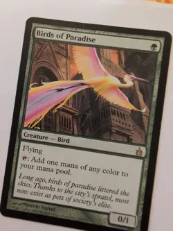 Birds of Paradise Ravnica: City of Guilds - Image 3