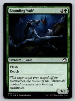 Bounding Wolf Regular - Image 1