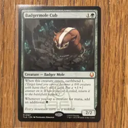 Avatar: The Last Airbender 2025 Badgermole Cub NM - Image 2