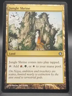 MTG ~ Uncommon Lot ~ Price Of Progress,Foul Orchard, Jungle Shrine, Blessed Wine - Image 4