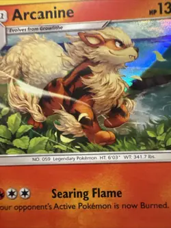 Pokemon TCG Arcanine 22/149 Holo Rare Sun & Moon Base NM - Image 2