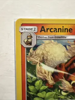 Pokemon TCG Arcanine 22/149 Holo Rare Sun & Moon Base NM - Image 3