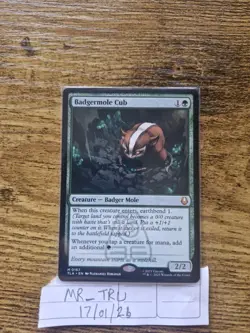 Badgermole Cub Avatar: the Last Airbender Regular - Image 1