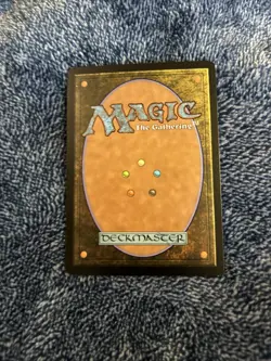 Yavimaya Coast 10th Edition Near Mint Regular English - Image 2