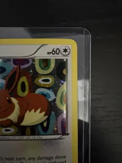 Eevee BW94 Black White Promos Holo Black Star Pokemon TCG - Image 4