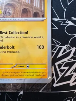 Pokemon x Natural History Museum Pikachu at the Museum Jumbo Promo Card SEALED - Image 4