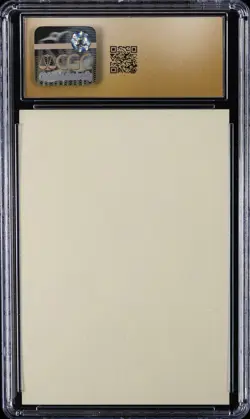 2025 POKEMON CENTER STICKER SET WARAJI FESTIVAL PLAYING PIKACHU CGC 10 PERFECT - Image 2