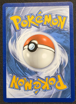 Cinccino SWSH009 Black Star Promo Pokemon Sword & Shield LP - Image 2