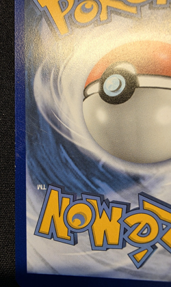 Cinccino SWSH009 Black Star Promo Pokemon Sword & Shield LP - Image 3