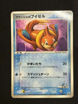 Samiya's Buizel - 151/PCG-P 151/PCG-P PCG-P Promotional cards Regular (Japanese) - Image 1