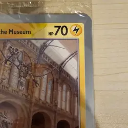 Pokemon TCG Pikachu At The Museum, Pokemon X Natural History Museum Jumbo Promo - Image 2