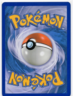 Raikou - (Cracked Ice Holo) 016/132 Miscellaneous Cards & Products Holo - Image 2