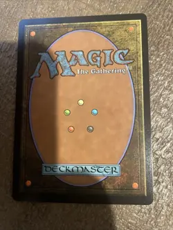 MTG Mystic Remora (Borderless) Avatar: The Last Airbender: Eternal Non Foil NM - Image 2