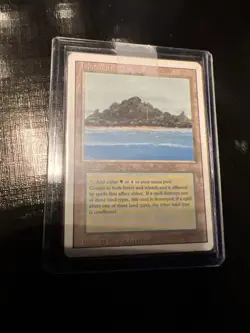 Tropical Island Revised Edition Regular MP MTG x 1 - Image 1