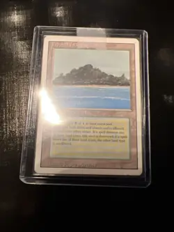 Tropical Island Revised Edition Regular MP MTG x 1 - Image 2