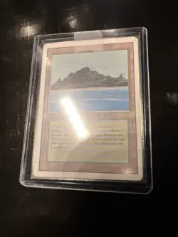 Tropical Island Revised Edition Regular MP MTG x 1 - Image 3