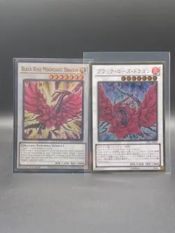Yu-Gi-Oh ~ Black Rose Dragons ~ Minty - Image 1