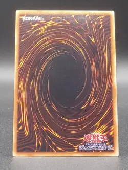 Yu-Gi-Oh ~ Black Rose Dragons ~ Minty - Image 4