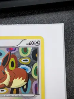 Eevee BW94 Black Star Promo MP Pokemon TCG Holo Black & White Era MP - Image 4