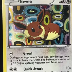 Pokemon Eevee TCG Black White BW94 Black Star Promo NM LP - Image 2