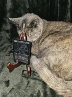 Thoughtseize (Japanese)(Foil Etched) - Secret Lair Drop Series (SLD) - Image 1