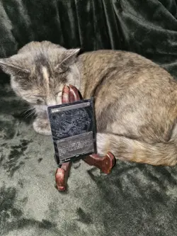 Thoughtseize (Japanese)(Foil Etched) - Secret Lair Drop Series (SLD) - Image 2