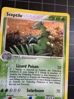 Pokemon TCG Sceptile Holo Rare Ruby And Sapphire 11/109 Ungraded - Image 2