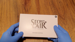 Magic the Gathering Secret Lair - Artist Series: Livia Prima - Image 2