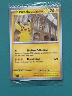 Pokemon x Natural History Museum Promo - Pikachu At The Museum In hand - Image 1