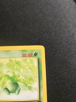 Oddish 63/82 Pokemon Team Rocket 1st Edition Common NM 2000 WOTC - Image 3