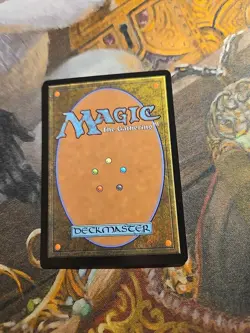 Forest 281 Winter Foil MTG Bloomburrow - NM - - Image 2