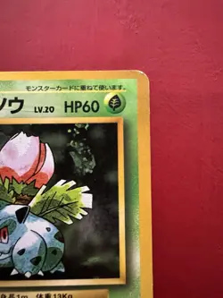 Ivysaur 002 Japanese Missing No Rarity Symbol Base Pokemon Card DMG - Image 4